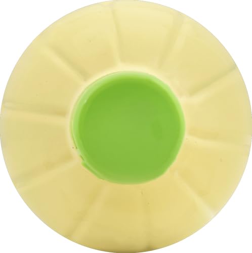 Nellie & Joe's, Key West Lime Juice, 16 Fl Oz Bottle