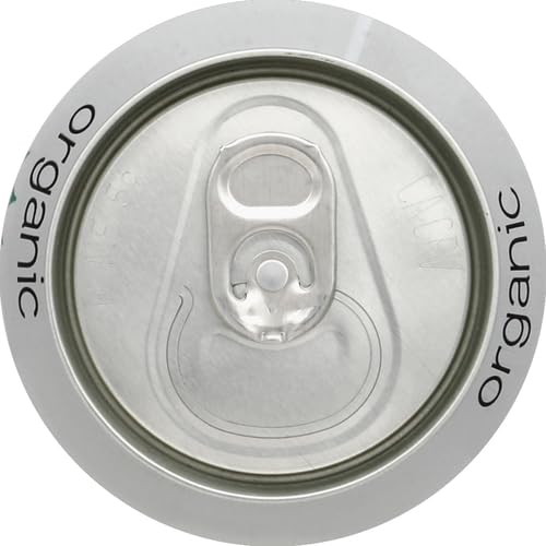 Steaz Organic Iced Green Tea, Mint, 16 oz