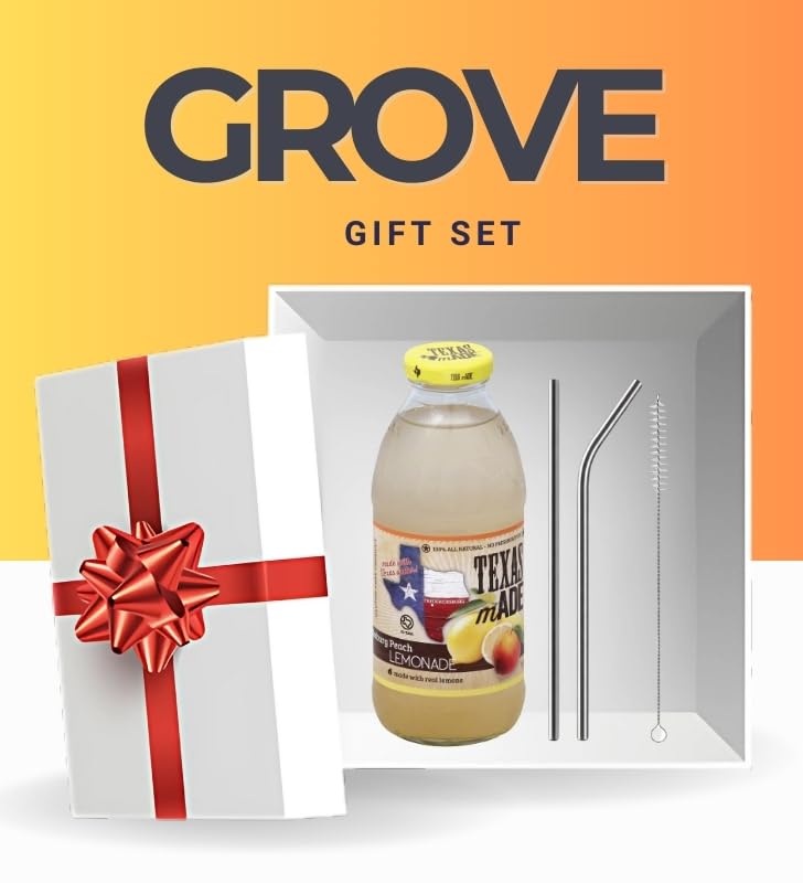Lemonade 16oz Bundle with Reusable Straw — Refreshing Peach Lemon Beverage with Natural Flavors for Easy Serving — Gift Set (2 Items)