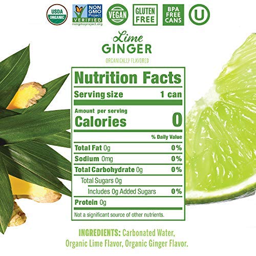 Nixie Organic Lime Ginger Sparkling Water 8 Pack, 12 FZ