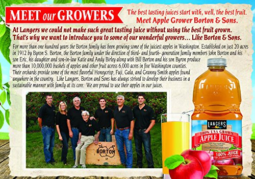 Langers Cider 100%, Apple, 101.4 Fl Oz (Pack of 4)