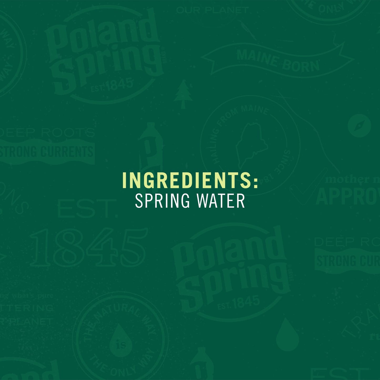 Poland Spring Maine Spring Water Bottles, 1 Gallon Jug – Still Bottled Water with Naturally Occurring Minerals