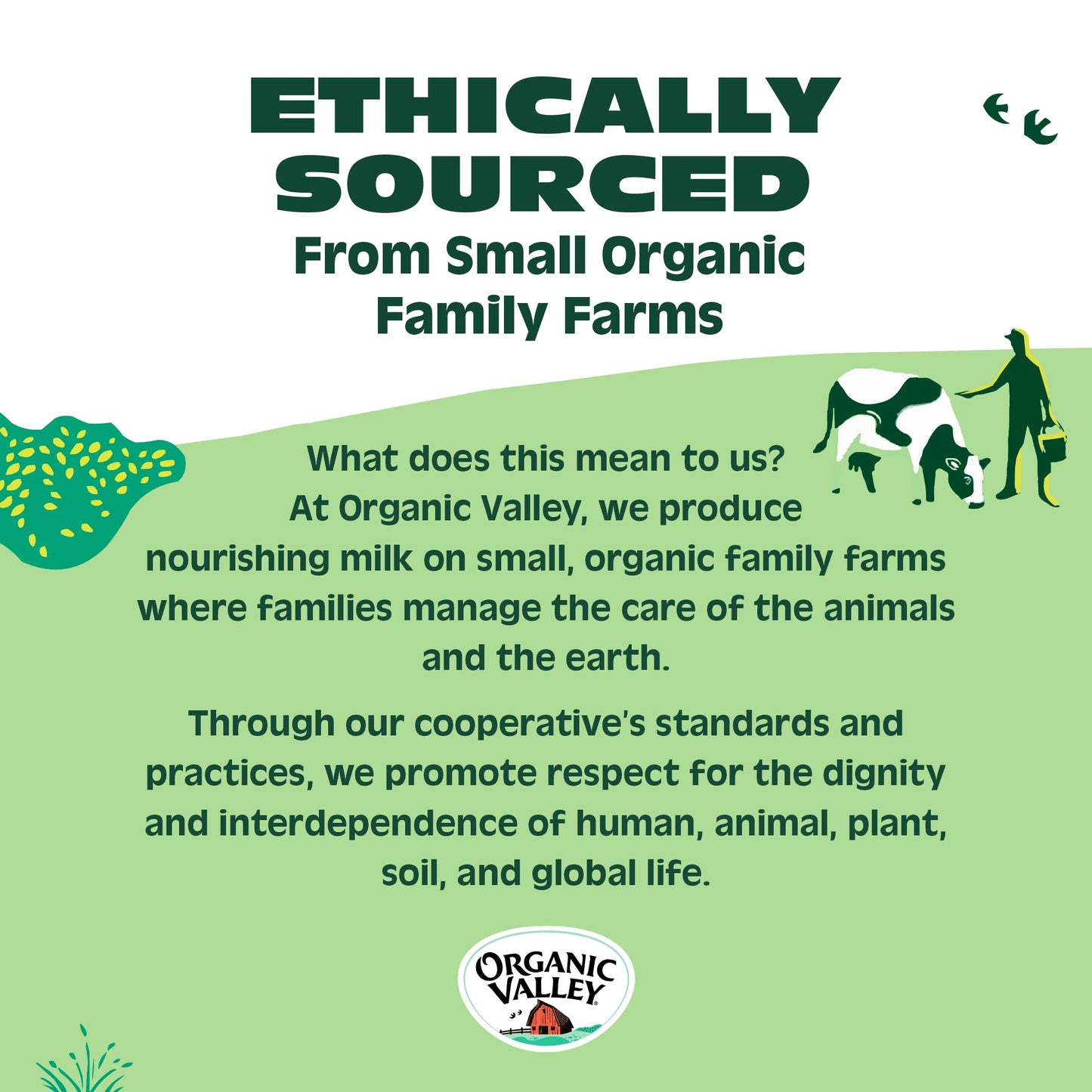 Organic Valley Grassmilk 100% Grass Fed Whole Milk, Organic, 59 fl oz