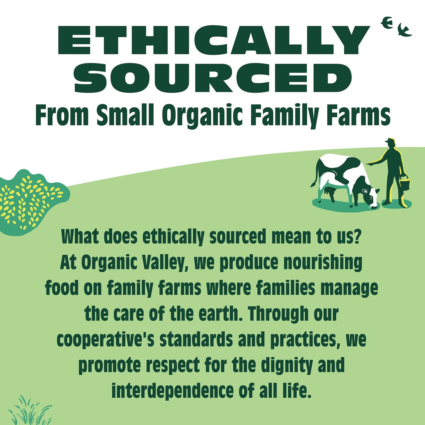 Organic Valley® Organic Whole Milk — Pasture Raised, Non GMO — 128 oz (Gallon)
