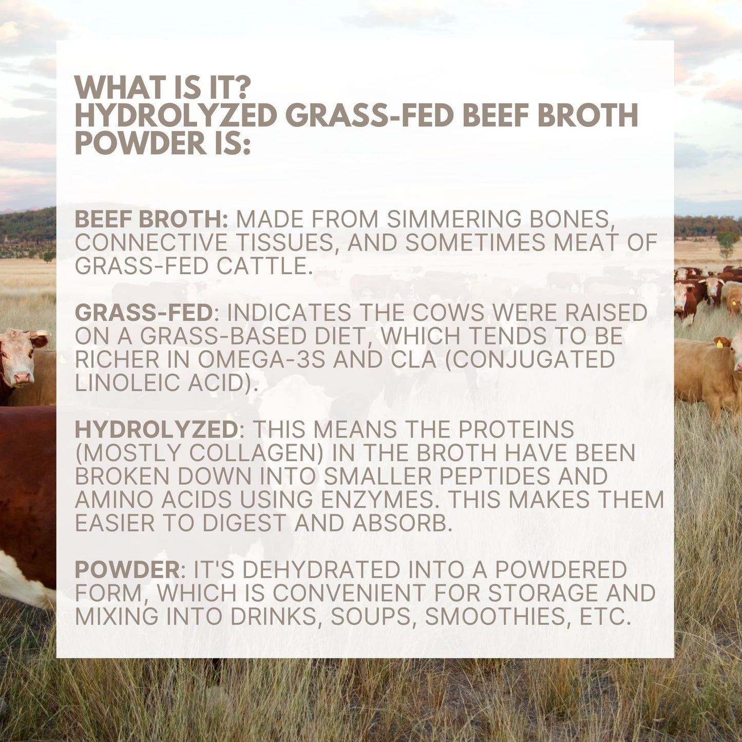 Ketostat Bone Broth Protein Powder Packets, Grass-Fed Beef (12 Pack, 18g) - 16 Grams of Hydrolyzed Beef Collagen Protein, Amino Acids, Electrolytes Sipping Broth Powder