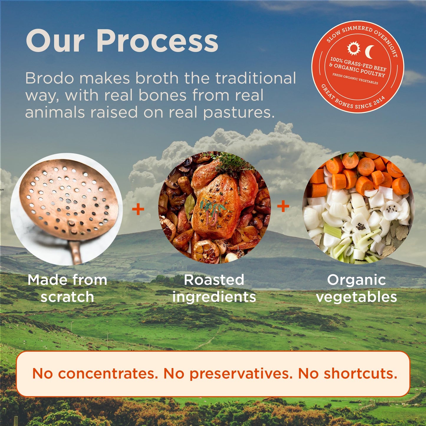 Brodo Broth Bundle with Variety Pack and Grass-Fed Beef Bone Broth, 8.3 oz (12 Cups Total)