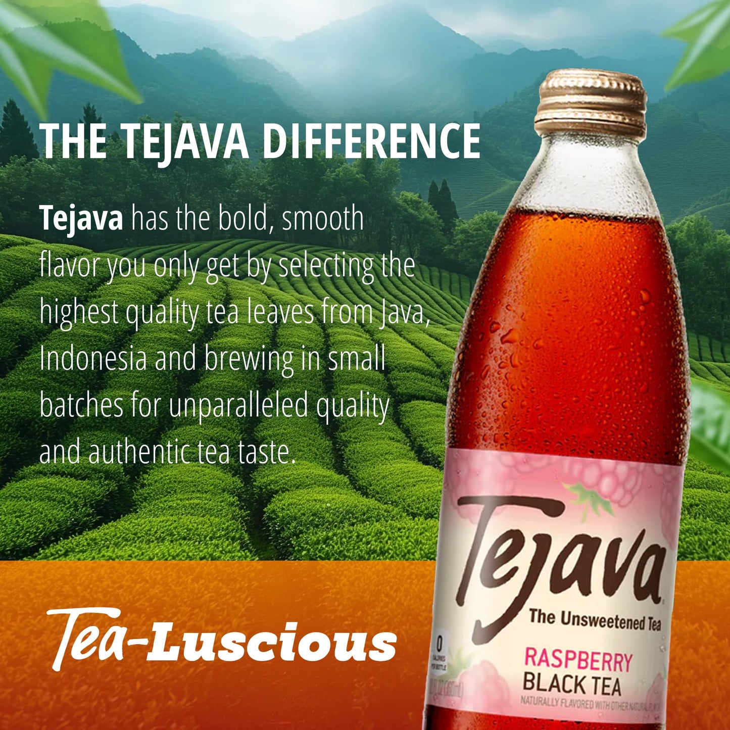 Tejava Raspberry Black Iced Tea, 4 Pack, 12oz Glass Bottles, Unsweetened, Non-GMO, Kosher, No Sugar or Sweeteners, No calories, No Preservatives, Brewed in Small Batches