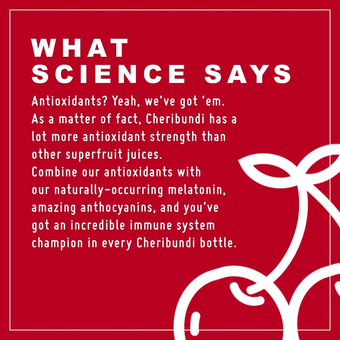 Cheribundi PURE Tart Cherry Juice (Pack of 12) and Cheribundi ORIGINAL Tart Cherry Juice Lightly Sweetened with Apple Juice