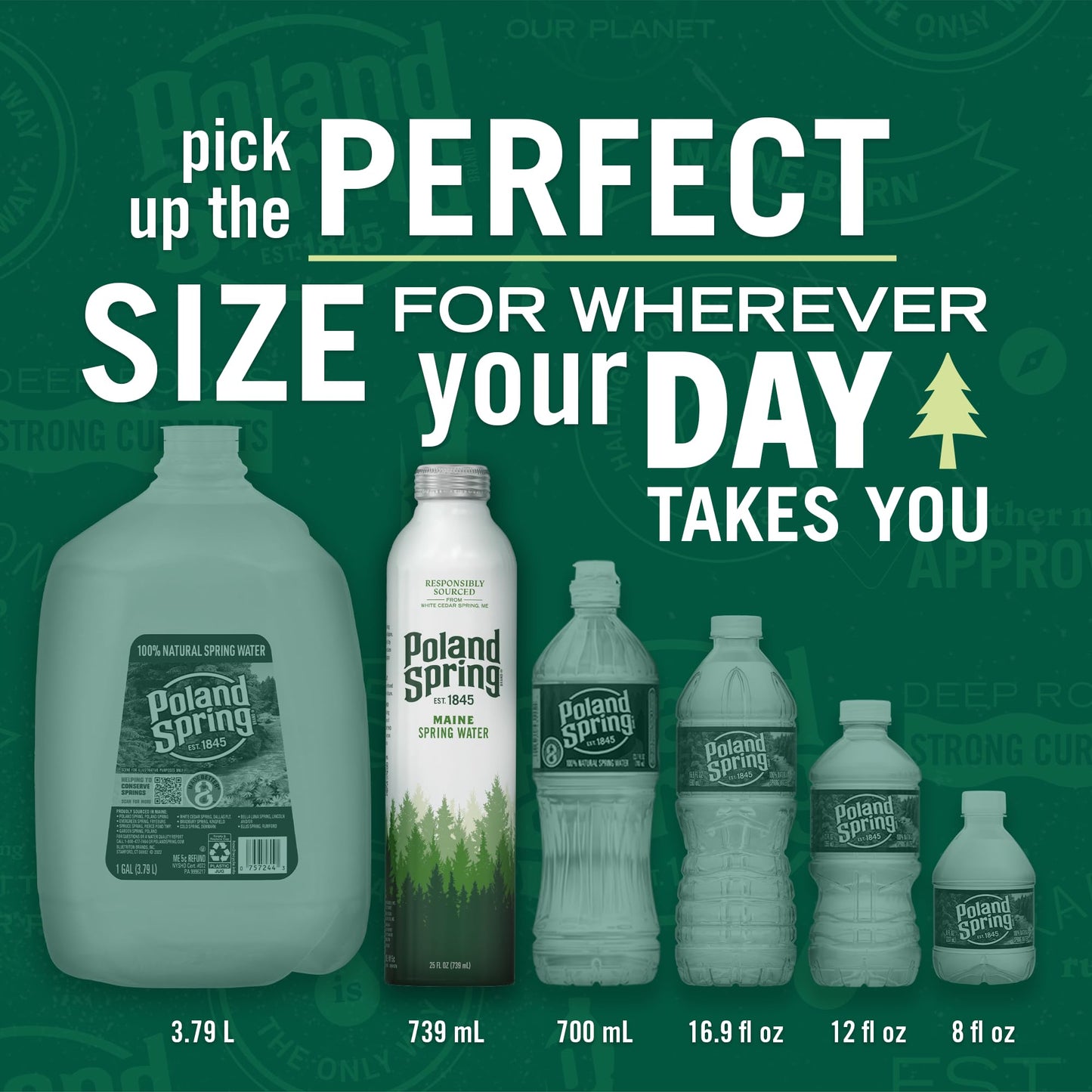 Poland Spring Maine Spring Water Aluminum Bottle – Crisp, Still Bottled Water with Naturally Occurring Minerals & Electrolytes for Taste - 12 Pack- 25 fl oz