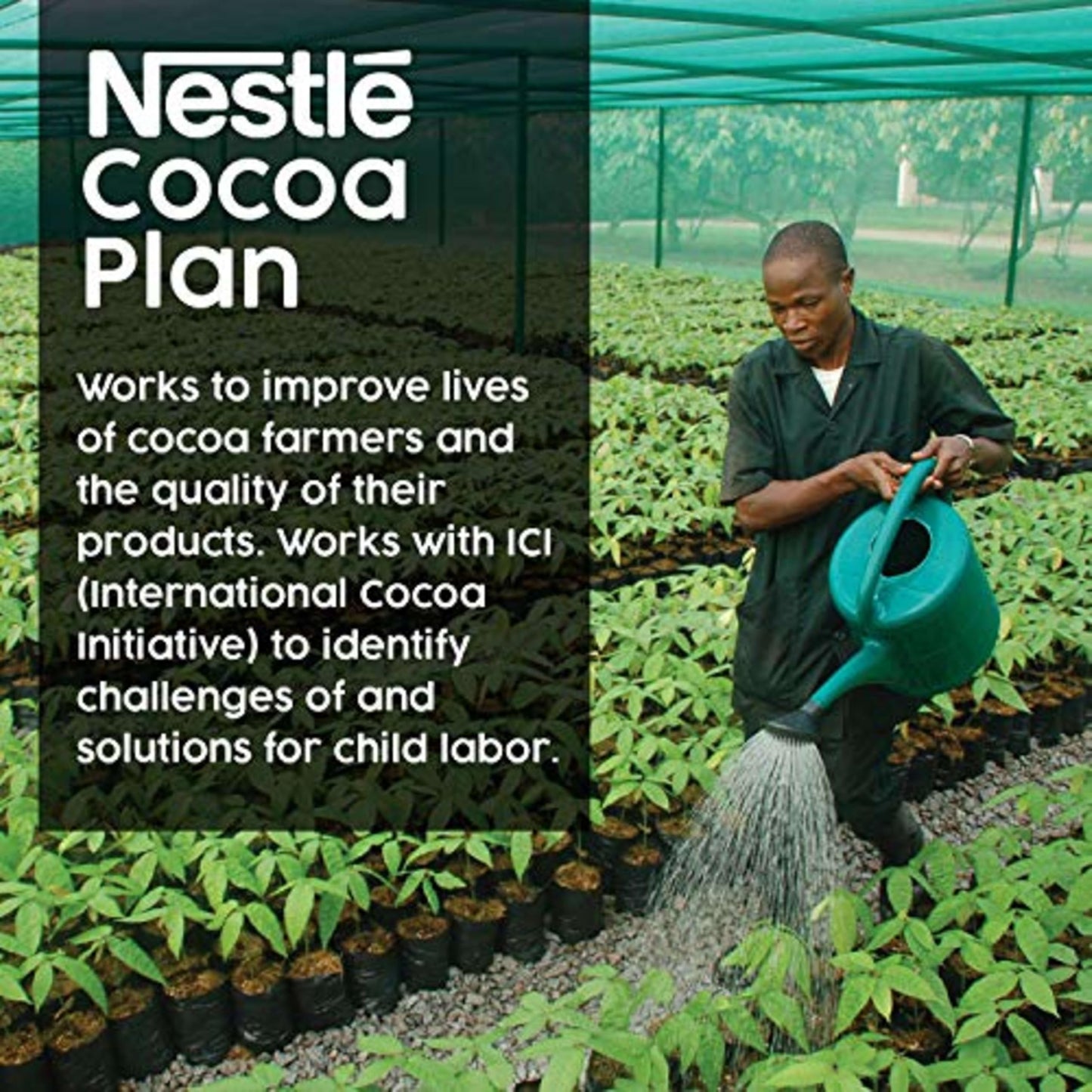 Nestle Hot Chocolate Mix, Rich Chocolate Flavor, Bulk Whipped Hot Cocoa Mix, 1.5 lb Bag