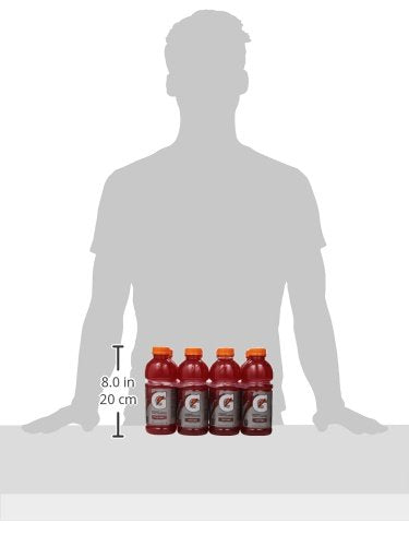 Gatorade Thirst Quencher, Fruit Punch, 20 Ounce (Pack of 8)