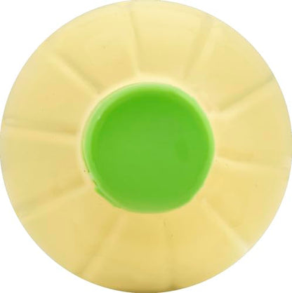 Nellie & Joe's, Key West Lime Juice, 16 Fl Oz Bottle