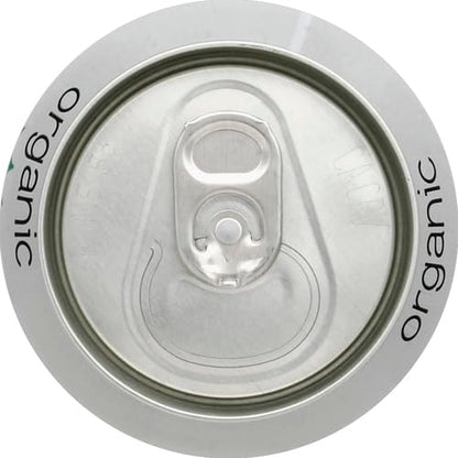 Steaz Organic Iced Green Tea, Mint, 16 oz