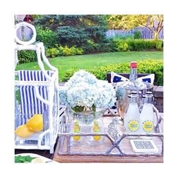 Boylan Sparkling Lemonade Cane Sugar Sodas, 12 fl oz (24 Glass Bottles)