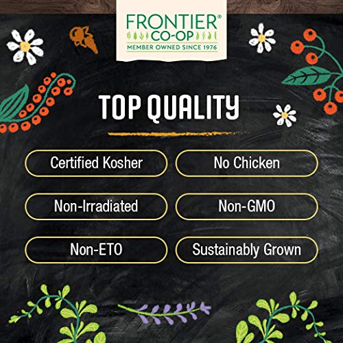 Frontier Co-op Vegetarian Broth Powder, 1lb - Vegan, No-Chicken, Veggie Alternative to Bouillon Powder - Bulk Bag, Shaker Refill, Restaurant Supply