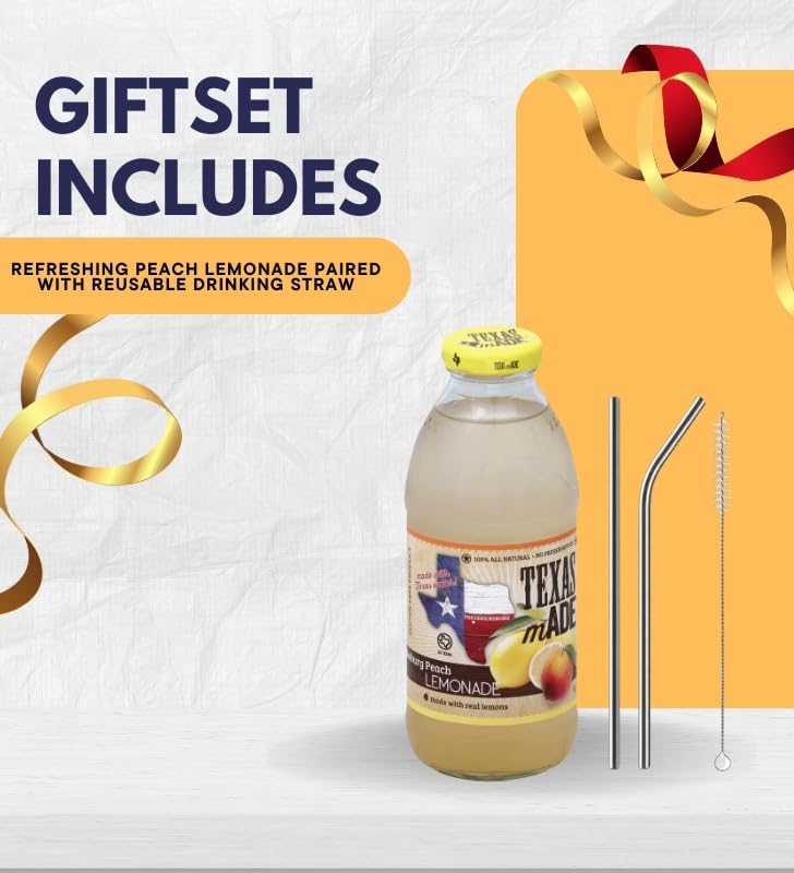 Lemonade 16oz Bundle with Reusable Straw — Refreshing Peach Lemon Beverage with Natural Flavors for Easy Serving — Gift Set (2 Items)