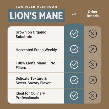 Two River Lion's Mane Mushroom Broth made with organic Lion's Mane and Shiitake Mushrooms, vegan plus adaptogens, perfect for sipping and souping, 510ml, 4ct (Pack of 4)