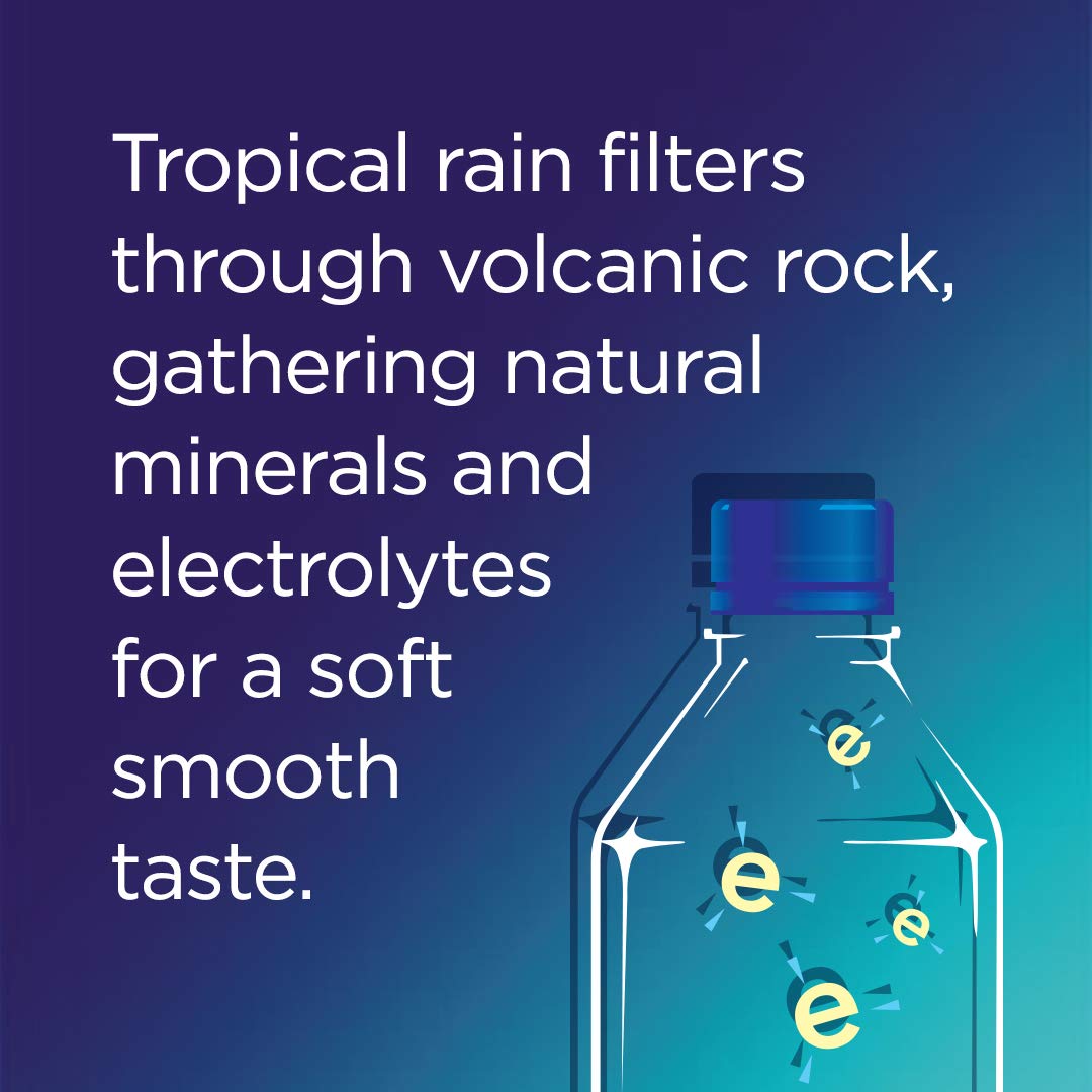 FIJI Natural Artesian Water, 23.7 Fl Ounce Bottle (Single)