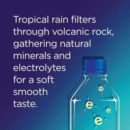 FIJI Natural Artesian Water, 23.7 Fl Ounce Bottle (Single)