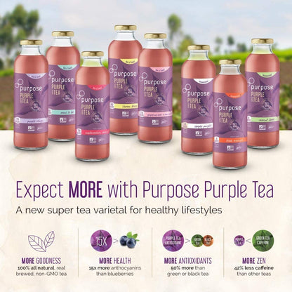 Purpose Tea, Blood Orange - Bottled Iced Tea, All Natural Brewed Organic Purple Leaves, Unsweetened, Pure, Non-GMO, High in Antioxidants and Anthocyanins, Healthy Drinks - 16 oz (Pack of 12)