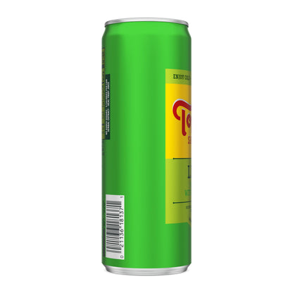 Topo Chico Sabores Lime with Mint Extract 12oz Can