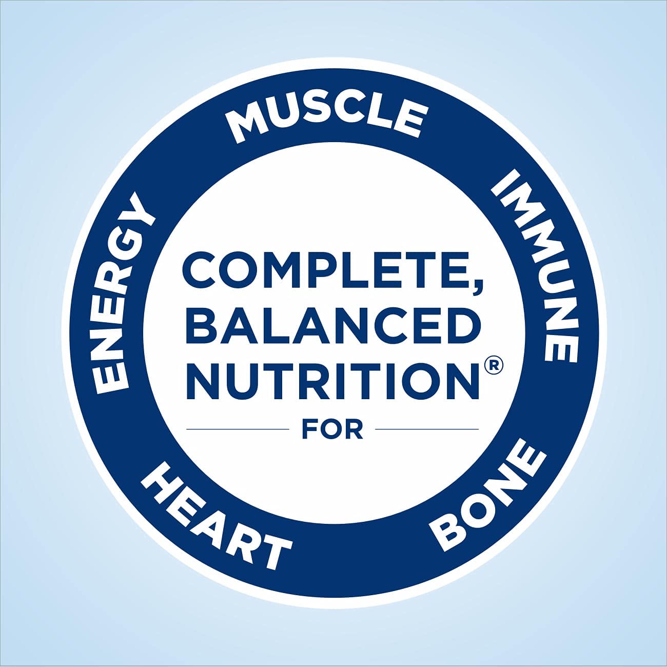 Ensure Original Dark Chocolate & Coffee Latte Nutrition Shake Bundle | Meal Replacement | 24 Packs Each