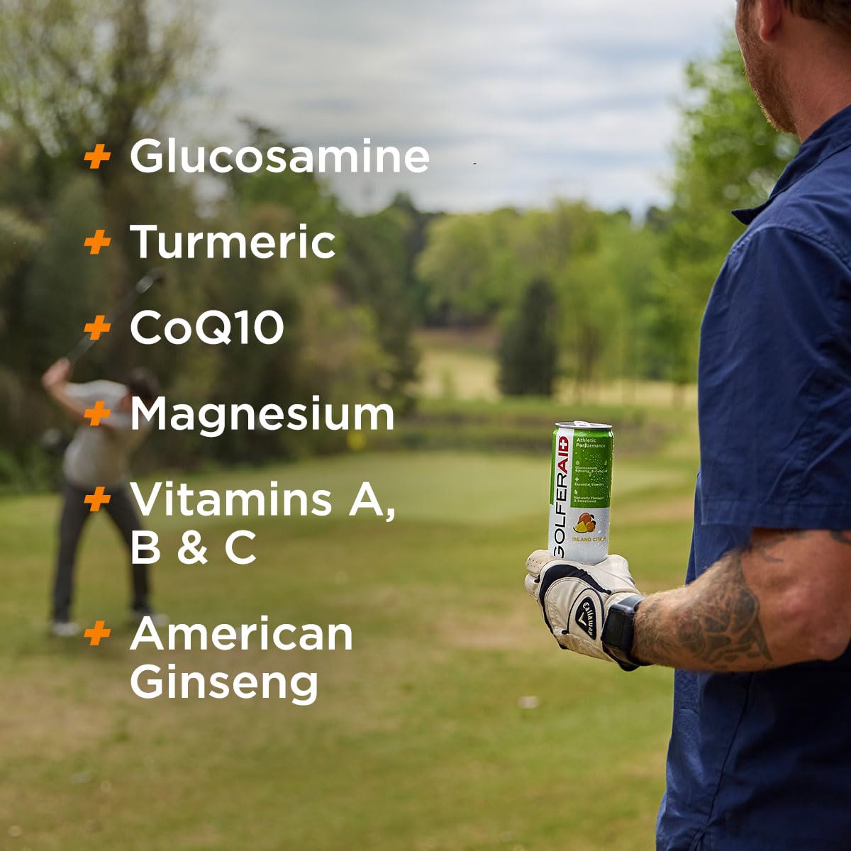 GOLFERAID Performance Blend, Up Your Golf Game, No Caffeine, Glucosamine, Turmeric, MSM, CoQ10, B-Complex, BCAAs and Electrolytes, 40 Calories, 100% Clean, Paleo, Vegan, 12 Fl Oz (Pack of 12)