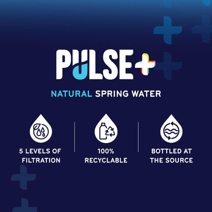 PULSE Minnie Mouse Natural Spring Water - Disney Water Bottles - Filtered Spring - BPA-Free Recyclable - 24 Pack