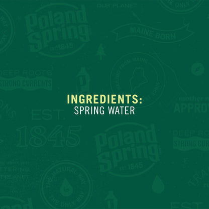 Poland Spring Maine Spring Water Bottles, 1 Gallon Jug – Still Bottled Water with Naturally Occurring Minerals