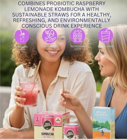 Kombucha Raspberry Lemonade 4-Pack Original 48 fl oz Bundle with Paper Straw 50-Pack — Refreshing Low-Calorie Gut Health Drink with Bubbly Berry Citrus Flavor — Gift Set (2 Items)