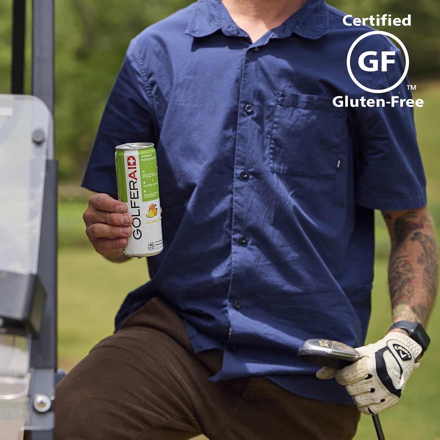 GOLFERAID Performance Blend, Up Your Golf Game, No Caffeine, Glucosamine, Turmeric, MSM, CoQ10, B-Complex, BCAAs and Electrolytes, 40 Calories, 100% Clean, Paleo, Vegan, 12 Fl Oz (Pack of 12)