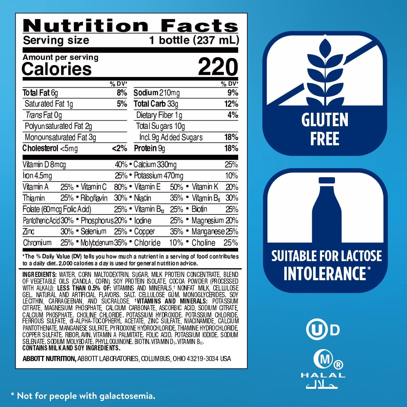 Ensure Original Milk Chocolate Nutrition Shake | Small Meal Replacement Shake | Ready To Drink | 9g Protein, 27 Vitamins and Minerals | 8 fl oz - 6 Pack
