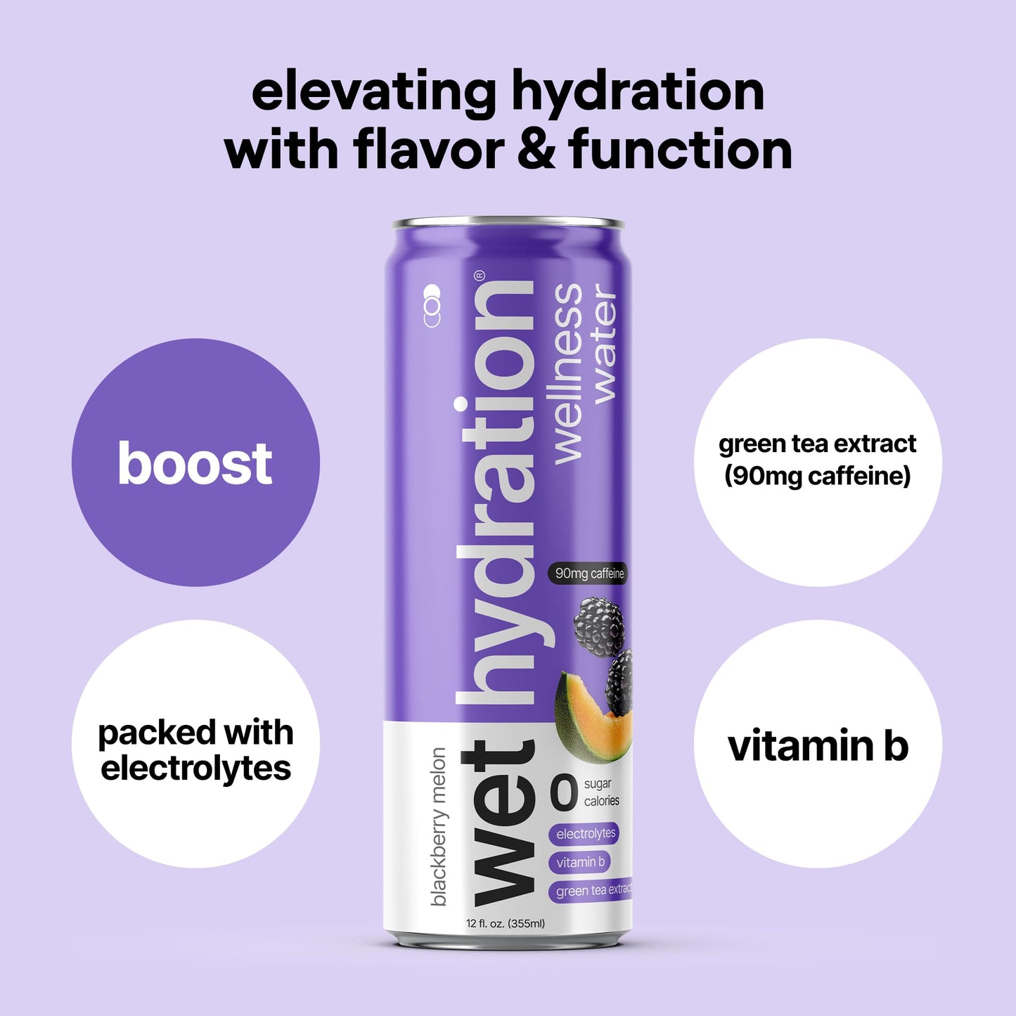 Wet Hydration | Functional Wellness Water, Non-Carbonated - Blackberry Melon (12 Ounce Cans, Pack of 12) - Flavored Water, Hydration Drink, No Sugar, No Artificial Ingredients, Zero Calories (Packaging May Vary)