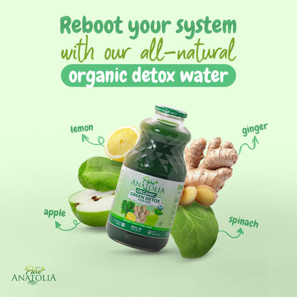 Organic Green Detox Juice by Pure Anatolia, Apple Spinach Lemon Ginger mix juice, USDA Organic Fruit and Vegetables Juice, Vegan, No added Sugar Pack of 6