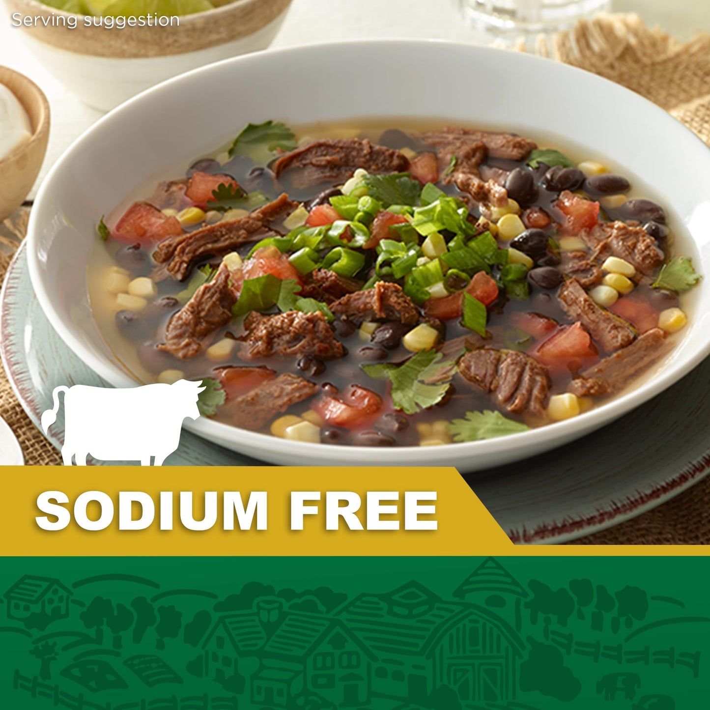 Herb-ox Beef Instant Broth & Seasoning, Sodium Free, 8 Count (Pack of 12)