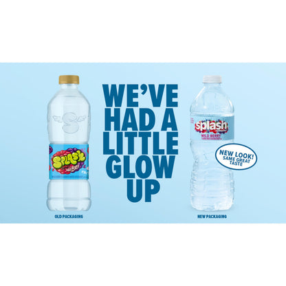 Splash Blast Water, Lemon, 16.9 Fl Oz | Pack of 30 | Plastic Bottle