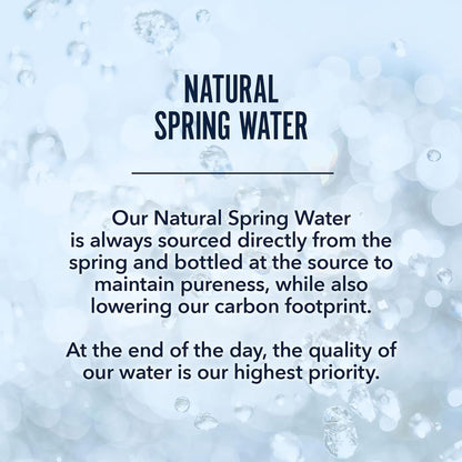 PULSE Minnie Mouse Natural Spring Water - Disney Water Bottles - Filtered Spring - BPA-Free Recyclable - 24 Pack