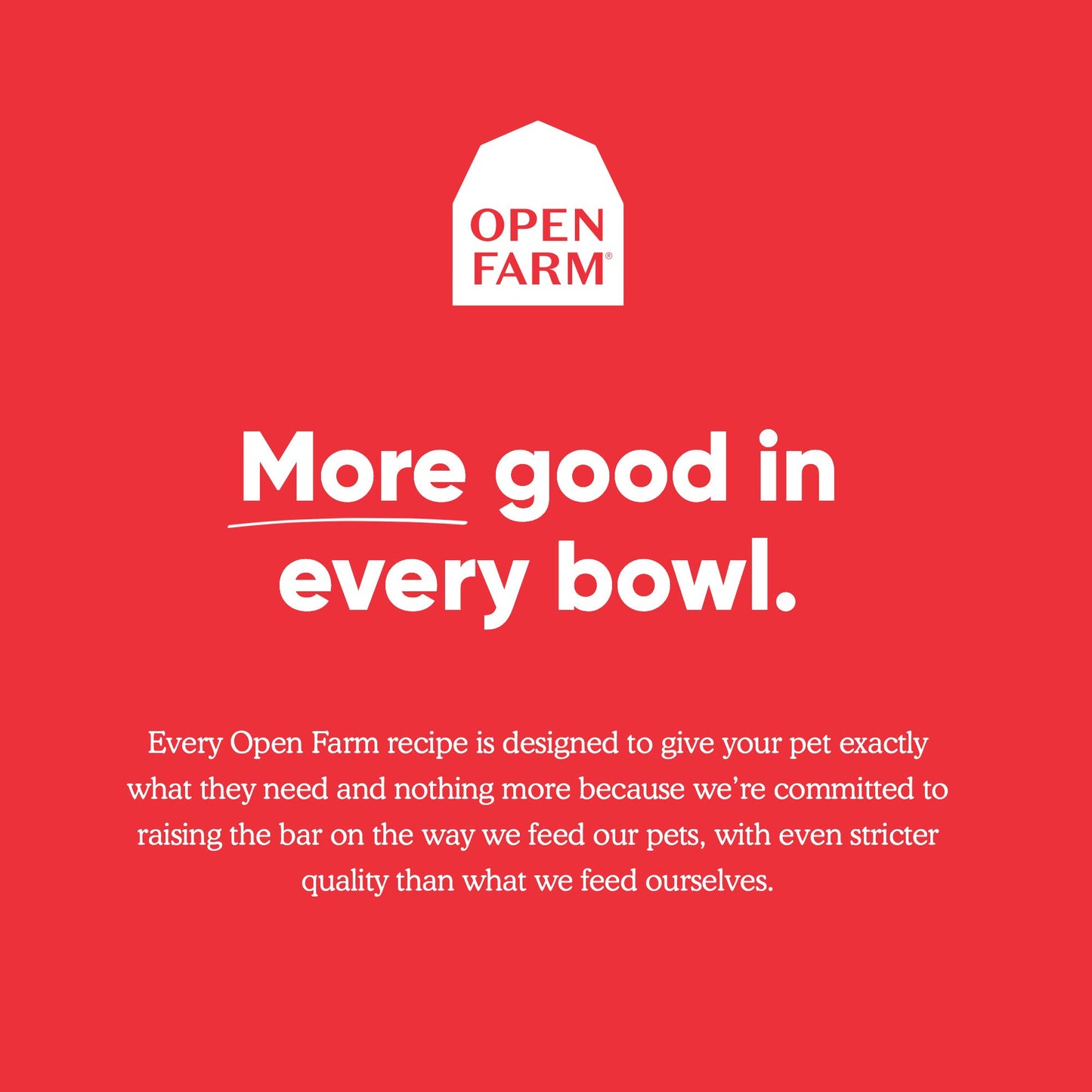 Bone Broth for Cats with Grass-Fed Beef by Open Farm