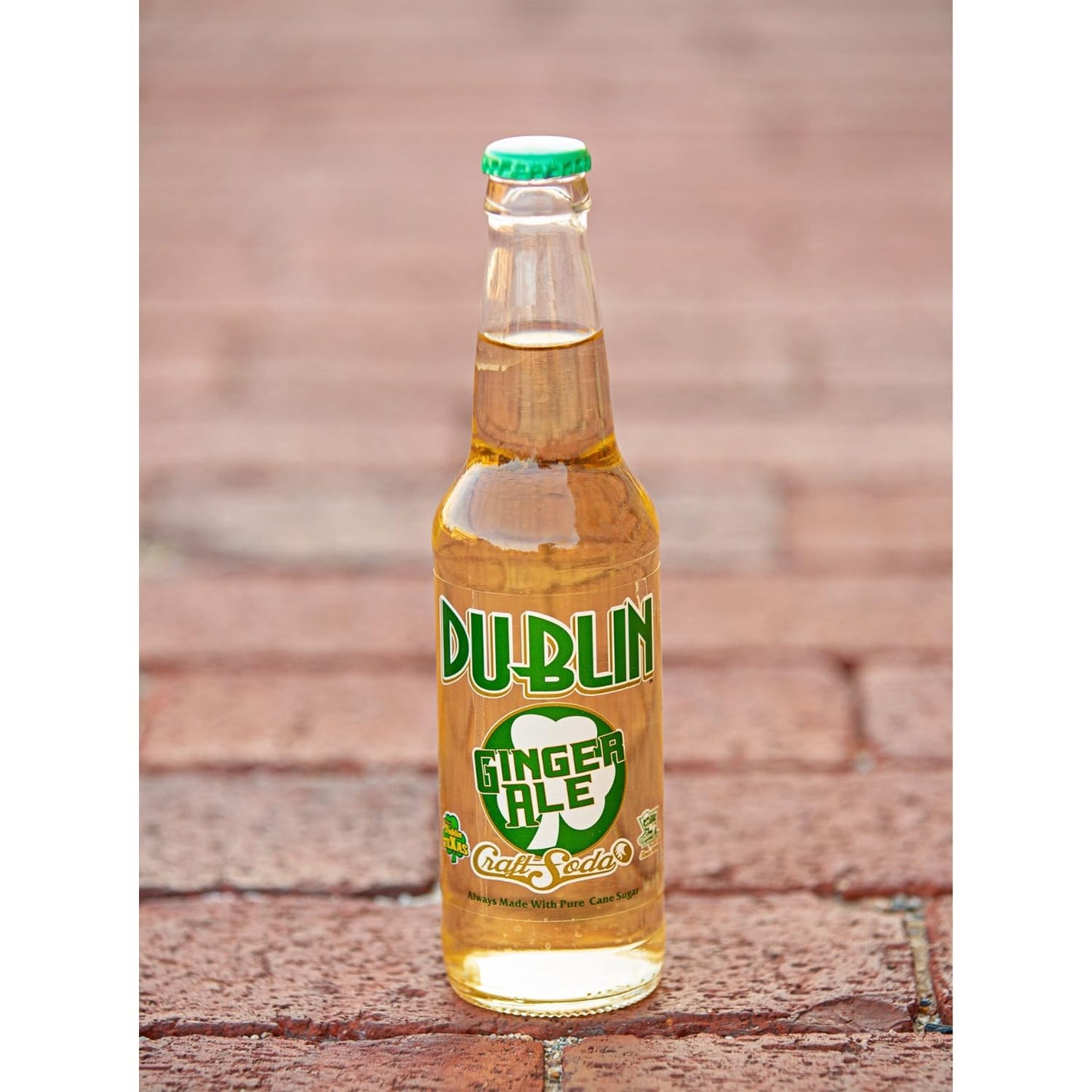 Dublin Bottling Works Craft Soda, Pure Cane Sugar, Made in Texas – Assorted 12-Pack – Premium Small-Batch Soda, Gluten-Free, Retro Artisanal Beverages (12 Pack, Ginger Ale)