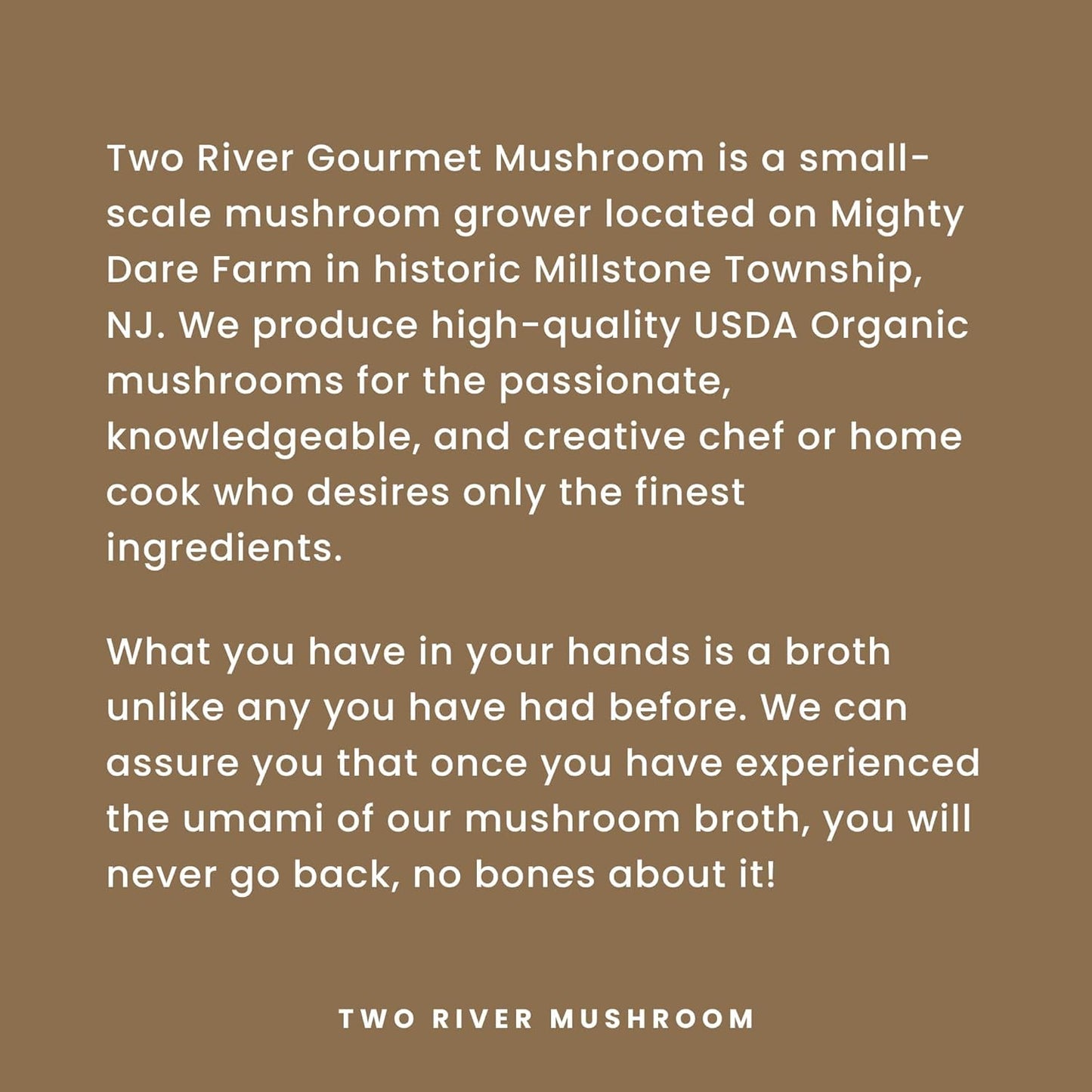 Two River Lion's Mane Mushroom Broth made with organic Lion's Mane and Shiitake Mushrooms, vegan plus adaptogens, perfect for sipping and souping, 510ml, 4ct (Pack of 4)