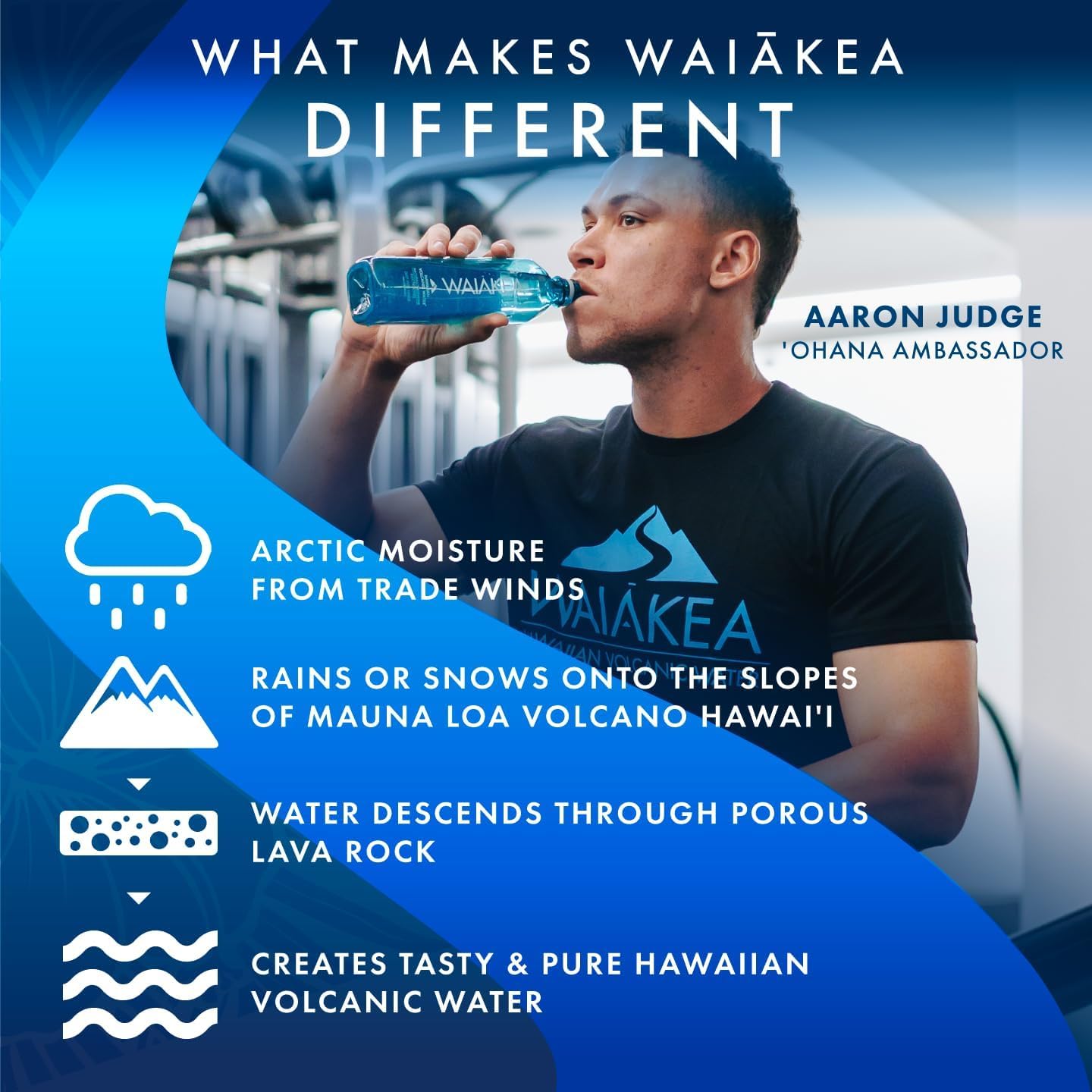 Waiakea Hawaiian Volcanic Water, 500 ML (Pack Of 24)