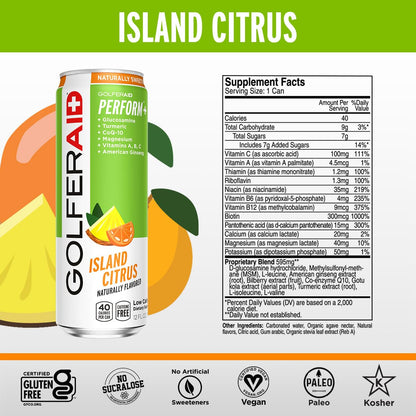GOLFERAID Performance Blend, Up Your Golf Game, No Caffeine, Glucosamine, Turmeric, MSM, CoQ10, B-Complex, BCAAs and Electrolytes, 40 Calories, 100% Clean, Paleo, Vegan, 12 Fl Oz (Pack of 12)