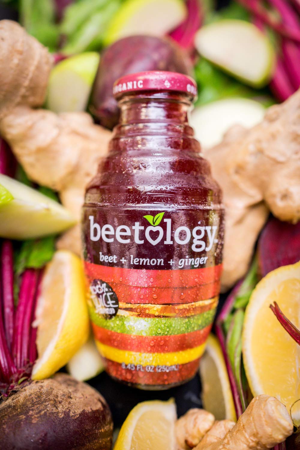 Beetology Beet Plus Lemon Plus Ginger Juice, 8.45 Fl Oz (Pack of 6)