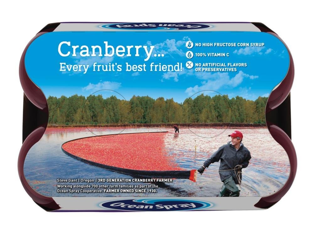 Ocean Spray® Cran-Grape® Cranberry Grape Juice Drinks, 10 Fl Oz Bottles, 6 Count