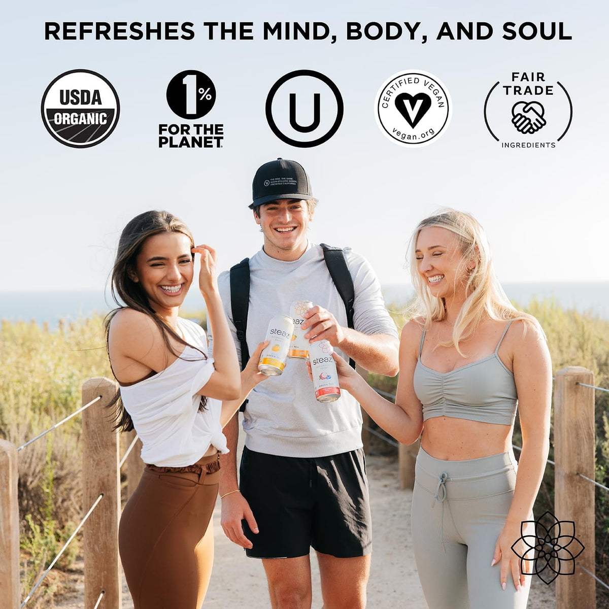 Steaz - Organic Green Tea - Blueberry Pomegranate (12 Pack) - Antioxidant Brew - 65mg Natural Caffeine, 90 Calories, Vitamin C - Cane Sugar Sweetened Iced Tea - Vegan - 12 Cans, 16 fl oz (473mL)