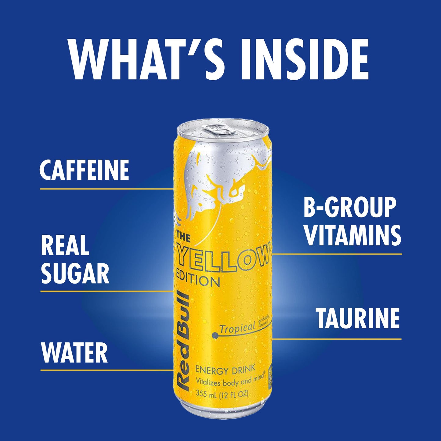 Red Bull Yellow Edition Energy Drink, 12 fl oz (RB203753)