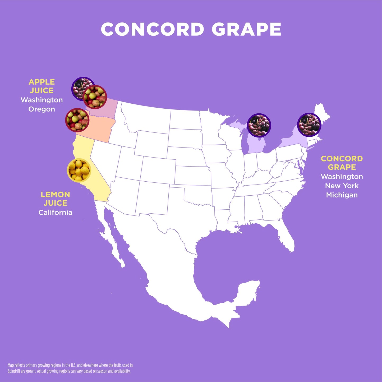 Spindrift "Concord Freeze" Grape Soda Made With Real Squeezed Fruit 12 Pack Case