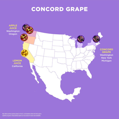 Spindrift "Concord Freeze" Grape Soda Made With Real Squeezed Fruit 12 Pack Case