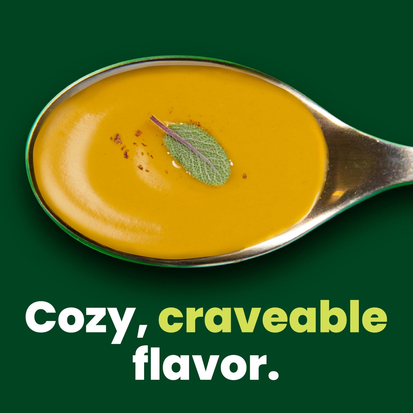 Pacific Foods Light in Sodium Organic Butternut Squash Soup, 32 oz Carton