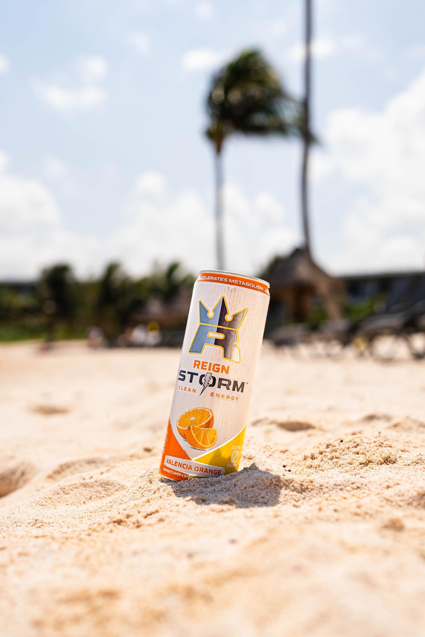 REIGN Storm, Valencia Orange, Fitness & Wellness Energy Drink, 12 Fl Oz (Pack of 1)